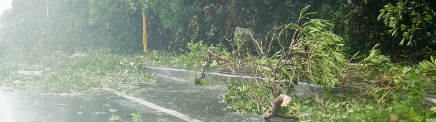 Emergency Preparedness : Publications Hero