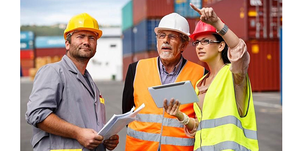 Programa de consulta in situ