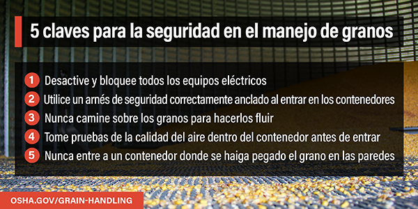 5 claves para la seguridad en el manejo de granos