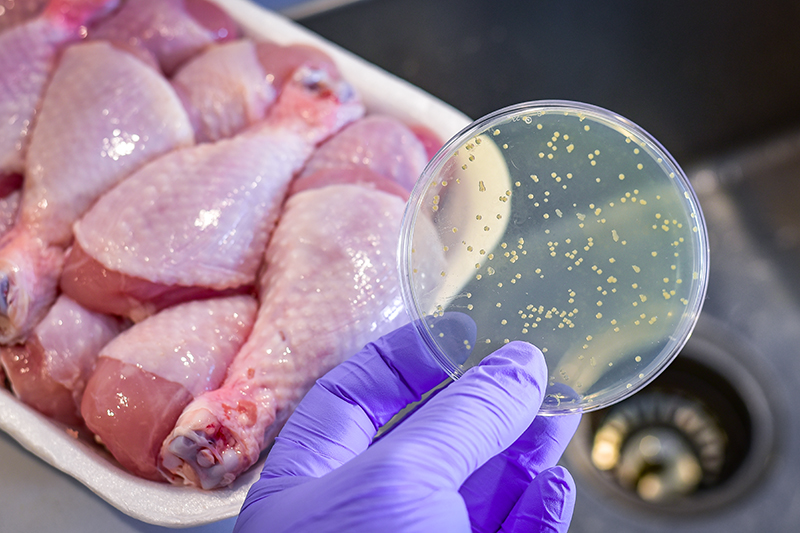 Foodborne Diseases: iStock-1333117917