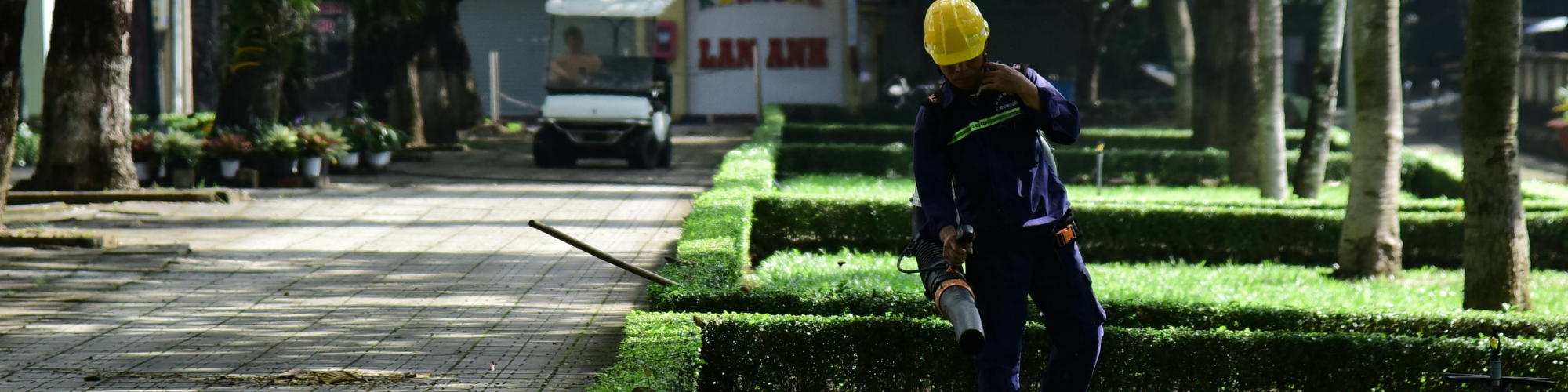 Landscape and Horticultural Service