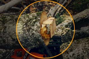 Actual log with tongue and groove cuts in it.