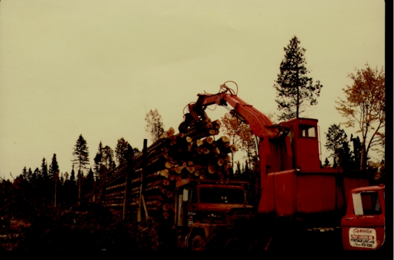 Logging Truck