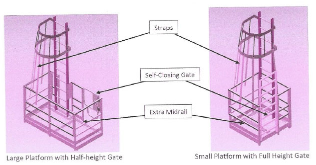 image of ladder safety system