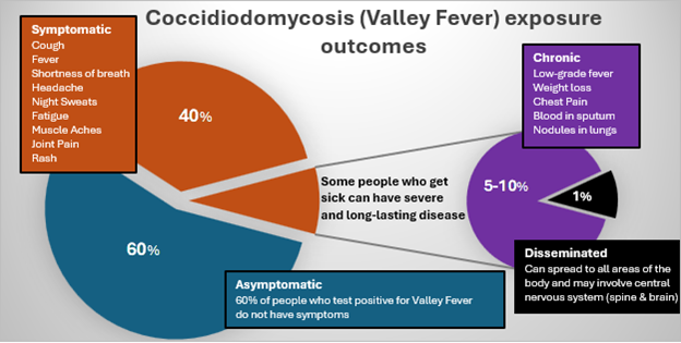 Figure 1. Outcomes of exposure to Coccidioides spores