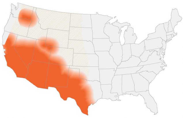 US Map - Estimated areas with coccidioidomycosis (Valley Fever) in the United States
