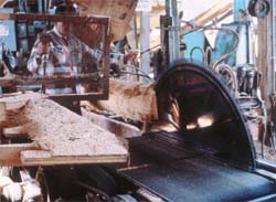 Starting the wood bolt through the saw.