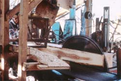 Wood moving through saw.