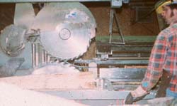 Worker and operating controls too close to rotating saw blades.