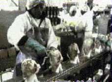 Image of workers at a cone line