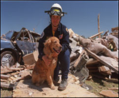 Rescue workers looking through debris