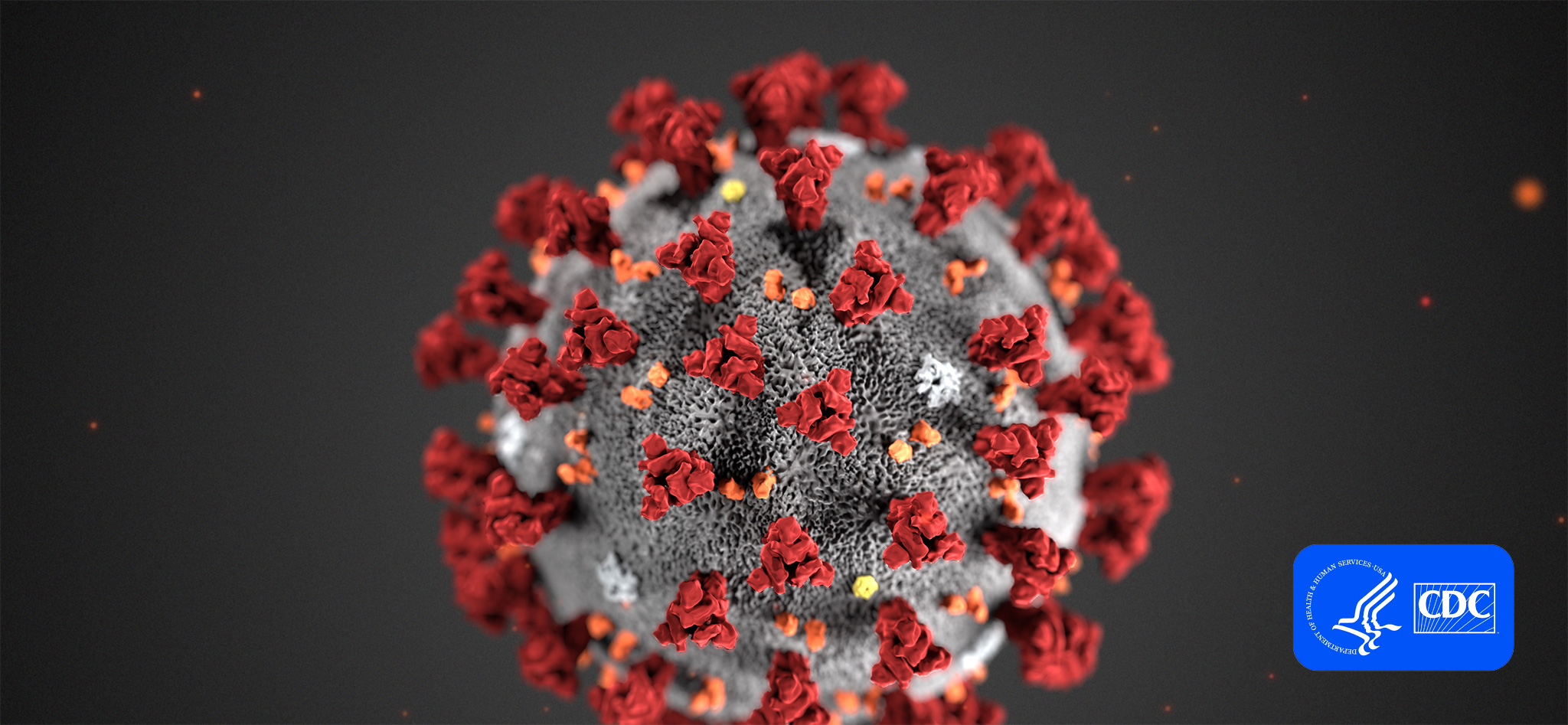 COVID-19 illustration | Photo: CDC