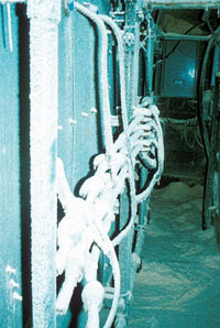 Electrical cables covered with sawdust.