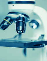 Professional, Scientific, and Technical Services - Photo Credit: iStock | Copyright: Marilyn Nieves