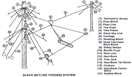 Slack Skyline Yarding System
