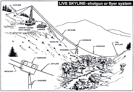 Live Skyline - Shotgun or Flyer System