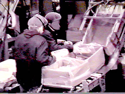 Image of workers packing product into boxes from conveyer belt