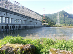 Power generation vs. transmission/distribution