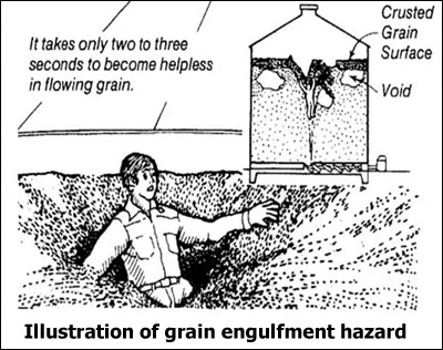 Illustration of a grain engulfment hazard - It takes only two to three seconds to become helpless in flowing grain - includes depiction of crusted gran surfaces on top of void pockets.