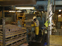 Figure 5. Lead-contaminated separator boards