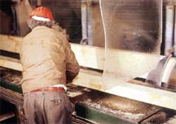 Worker (off bearer) too close to operating saw.