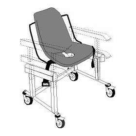 Bathtub, Shower, and Toileting Activities