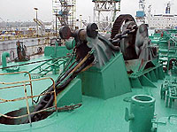 Figure 11: Anchor chain secured by wire cables (instead of devil claws) to prevent the anchor from falling