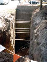 Ejemplos adicionales