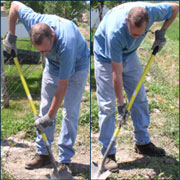 Figure 5 Alternating hand placement on shovel between the left and right to shift stress placed on the body.