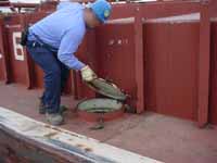 Figure 25: Barge void space hatch being opened or closed.