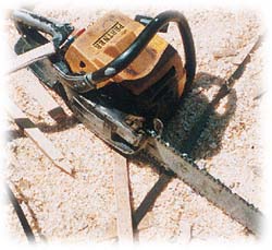 Powered Hand Saw