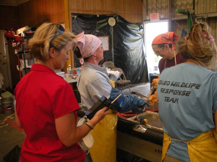 Oil Spills - Workers and Volunteers