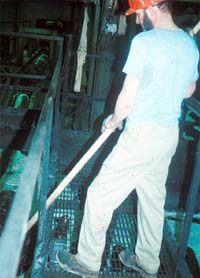 Worker moving logs from pond onto jack ladder with pike pole.