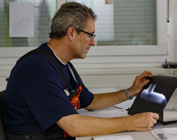 Photo Credit: CEPhoto / Uwe Aranas