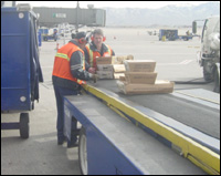 Figure 2. Vertical position of beltloader when loading the carts (between waist and chest height).
