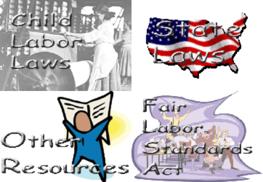 Graphic of various categories of resources