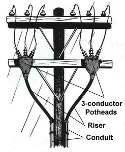 Figure 1. Three conductor potheads on pole