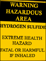 Hydrogen Sulfide Gas