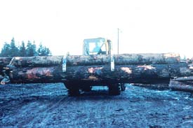 Logs are in a stable, secure position