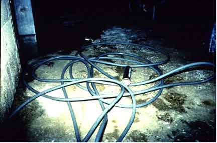 Image of loose hose in walkway