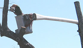 Photo courtesy of OSHA. This picture shows actual disaster site work conditions and may not illustrate proper safety and health procedures.