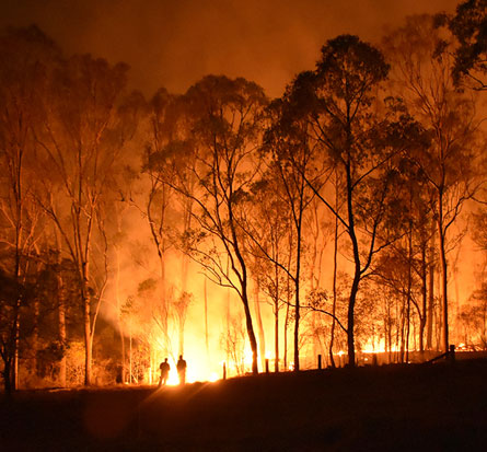 OSHA's Wildfire Page : iStock-1195174769