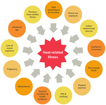 Figure 1. Heat-related illness risk factors (NIOSH 2016).