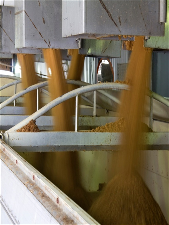 Figure II.19b. Transferring Co-Products in Load-Out Area