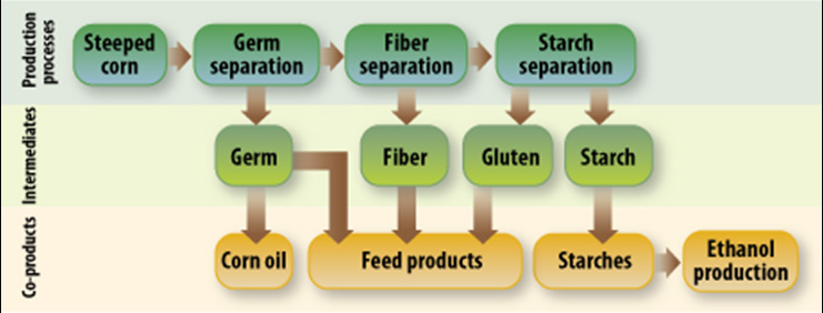 Figure II.22. Germ, Fiber, and Starch Separation During Corn Wet-Milling. This illustration shows various production processes, their intermediates, and the resulting co-products.