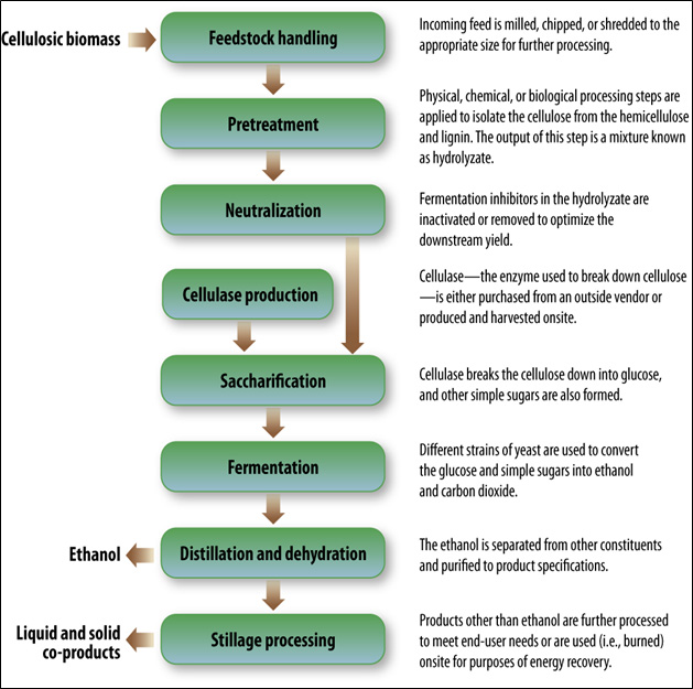Figure II.23. Biochemical Conversion of Cellulosic Feedstocks