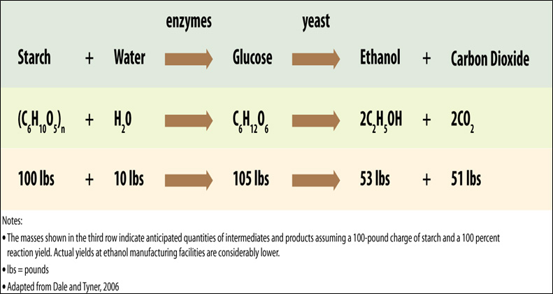Figure II.7. Chemical Process in Corn Dry-Milling