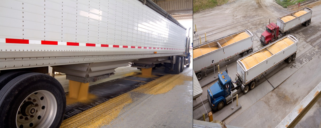 Figure II.8. Corn Dumped into Receiving Pits