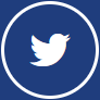Twitter Icon