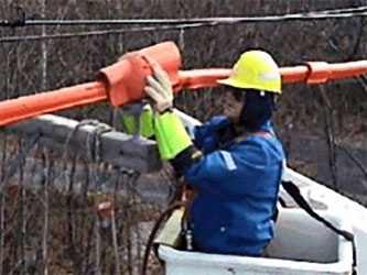 Commitment to Electrical Workers